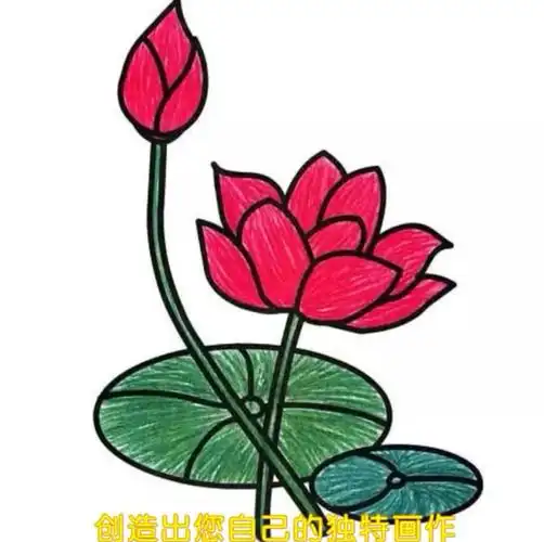 荷花的四种画法————————《家校共育探索》第八集 - 美篇