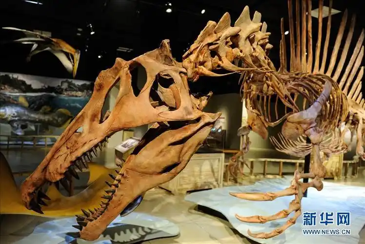 埃及棘龙可能是地球上第一种半水栖的恐龙