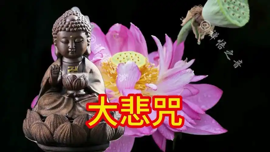 庄严好听佛乐《大悲咒》福旺财旺运气旺,家兴人兴事业兴!