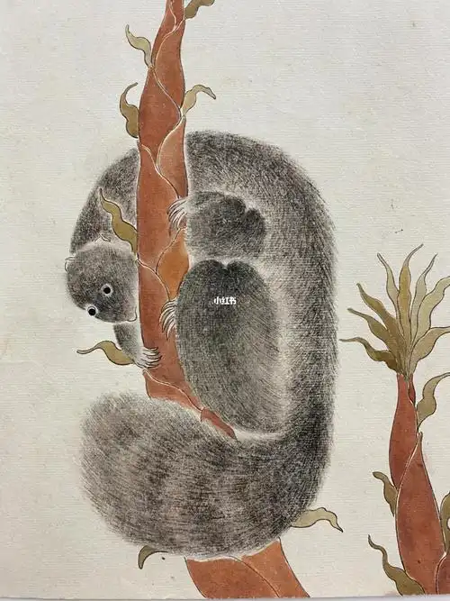 国画动物松鼠工笔画