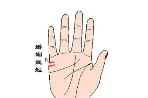 二婚会比头婚好的女人手相分析