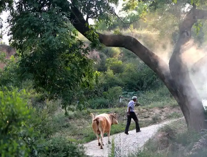 家乡美景----乡村景色