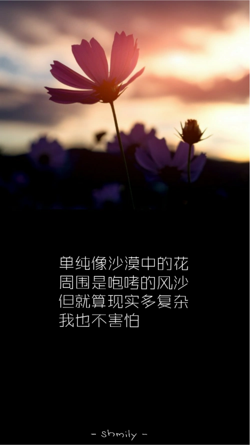 一路逆风 . gem . 邓紫棋