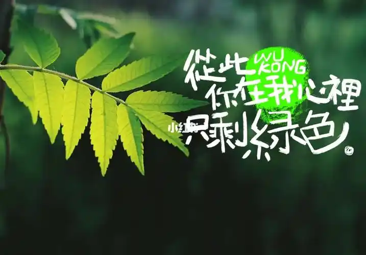 绿色  #陈雪凝  #从此你在我心里只剩绿色  #绿色陈雪凝  #写字