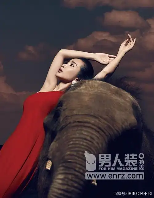 李冰冰冷艳《男人装》