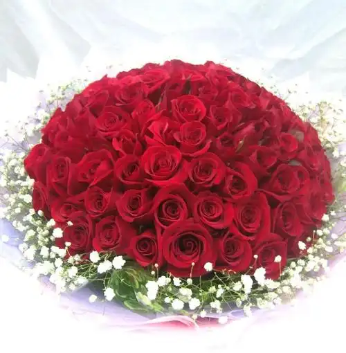 代表爱情长久的999朵玫瑰花图片