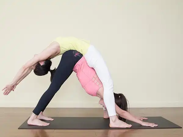 广州瑜伽教练培训机构,广州瑜伽教练培训学院,广州瑜伽培训课程-广州