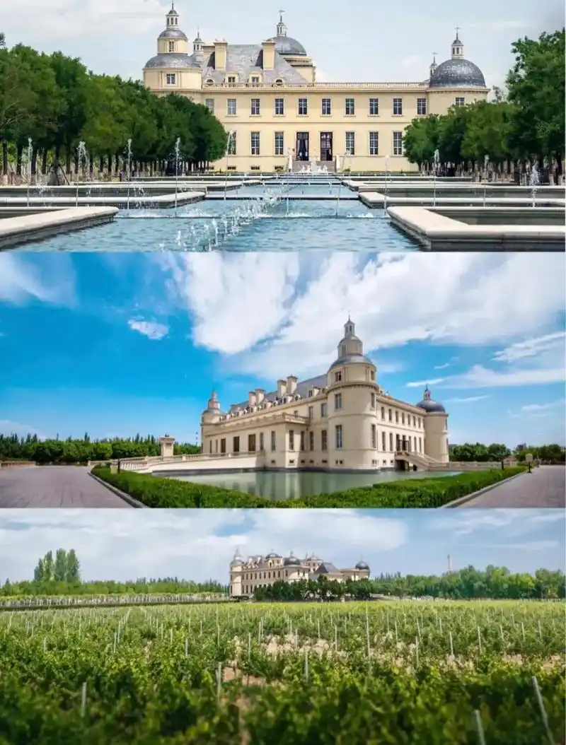 【张裕 61 爱斐堡国际酒庄】仿照国外1:1还原的田园风情 名 - 抖音