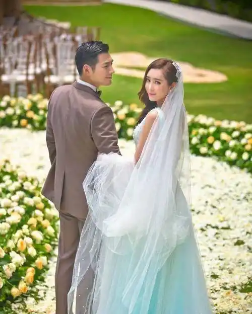 但就是不红,茅子俊被林心如坑,乔振宇为养家糊口_严屹宽_张智尧_陈龙