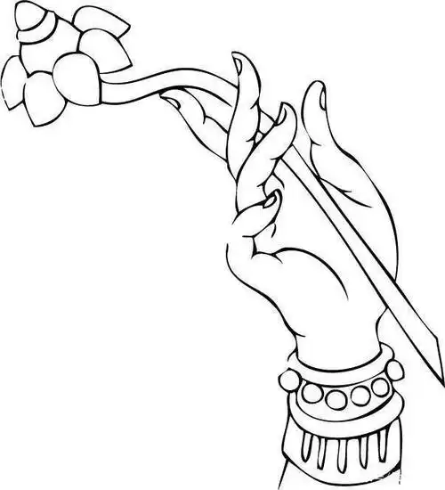 干货!30张高清佛手白描线稿,艺术生快收藏起来临摹,简单易画