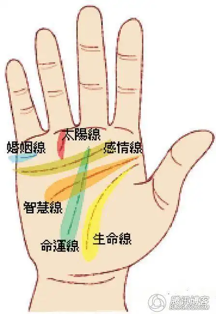 川字掌手纹的女人好吗