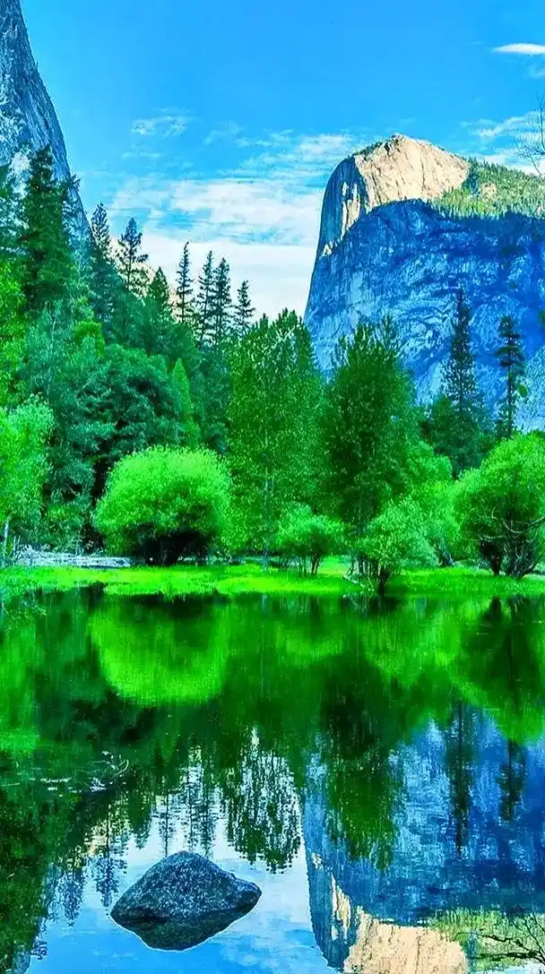 如果心情不好试着看看这几张图片或许会治愈你心灵的创伤