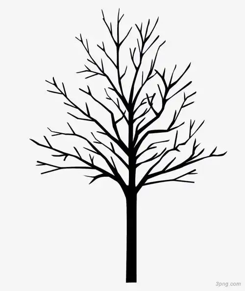 黑色树枝剪影干枯png素材透明免抠图片动植人物