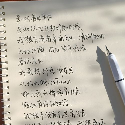 野生字体手写行书行楷练字帖男女生字体漂亮钢笔成人初中高中学生