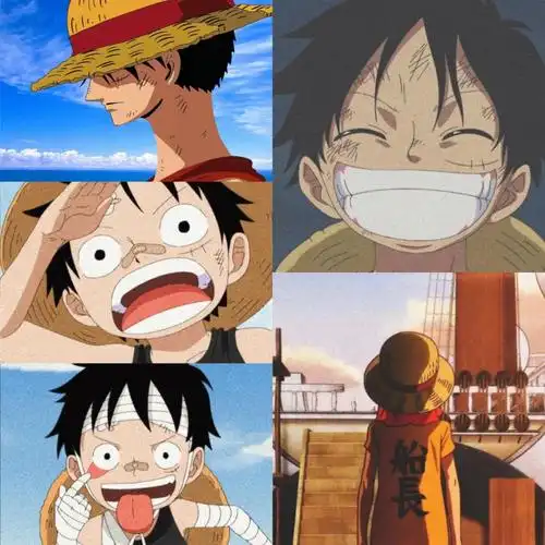 草帽团三大主力拼图合集