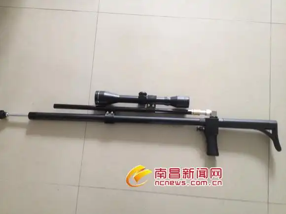 90后枪迷花400元网购气枪以鸟试枪被抓