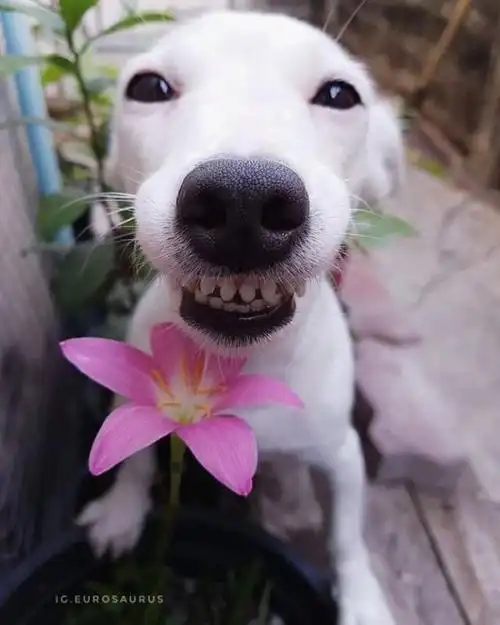 开心幽默的搞笑句子,妙趣横生,个顶个的逗!