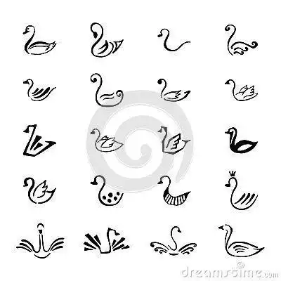 黑天鹅宝宝简笔画