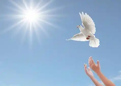 简单快乐的心态句子简短表达心情的图片