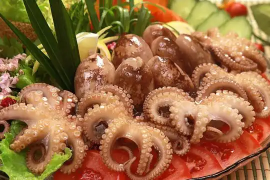 冰镇八爪鱼摄影图__其他_餐饮美食_摄影图库_昵图网nipic.com