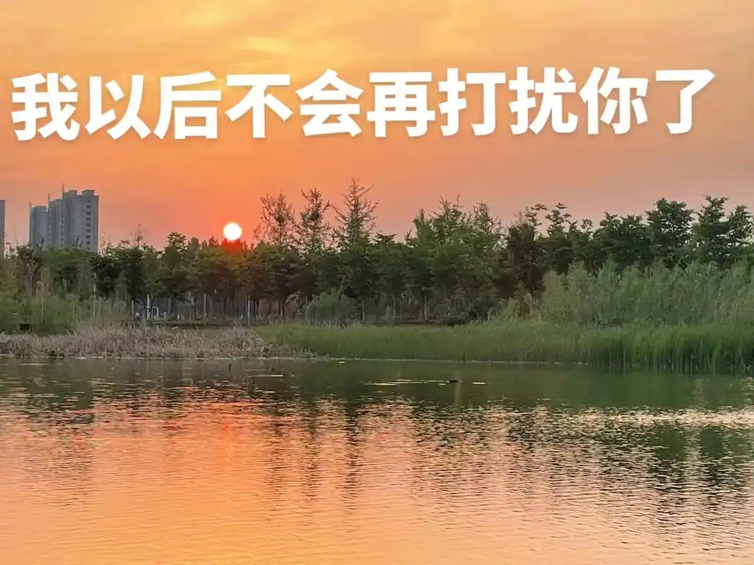 我以后不会再打扰你了,忍得住就忍,忍不住就哭,我知道该怎么做 - 抖音