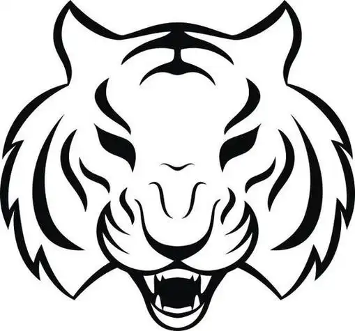 老虎头怎么画霸气又简单简笔画