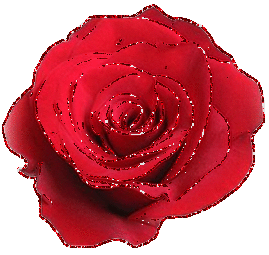 269_255gif 动态图 动图