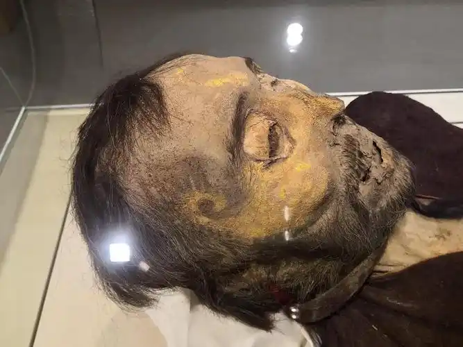 有uu想看博物馆干尸吗有图慎入