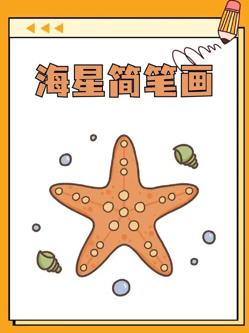 海星简笔画 96海洋中有各种各样神奇的动物,94我认为里面最可爱的