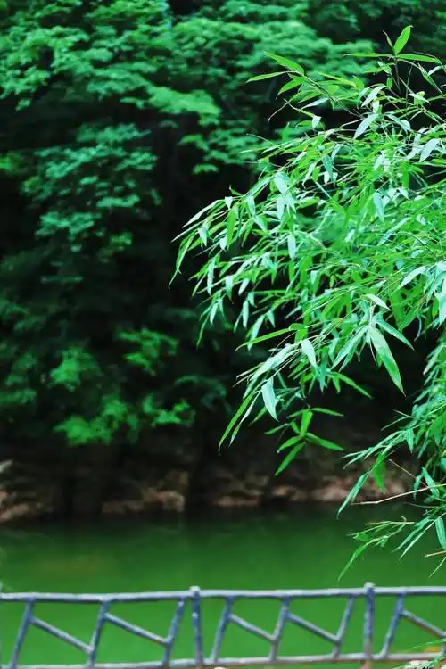 免费接送,免费午餐,免费游园!十堰上新一家景区,快冲