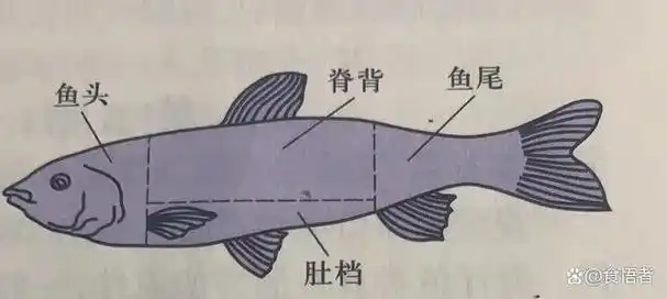 烹饪老师说菜谱——一条鱼不同部位成就的八个经典菜肴