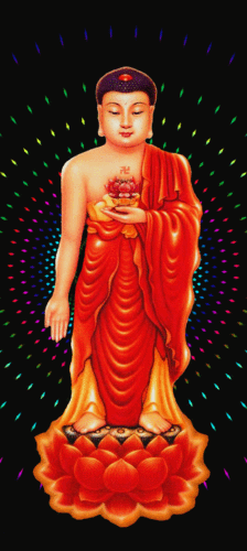 600_1340竖版 竖屏gif 动态图 动图