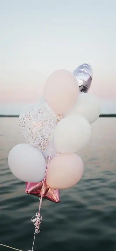 iphone12pro max全屏壁纸