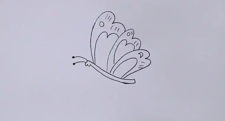 蝴蝶脱茧的简笔画