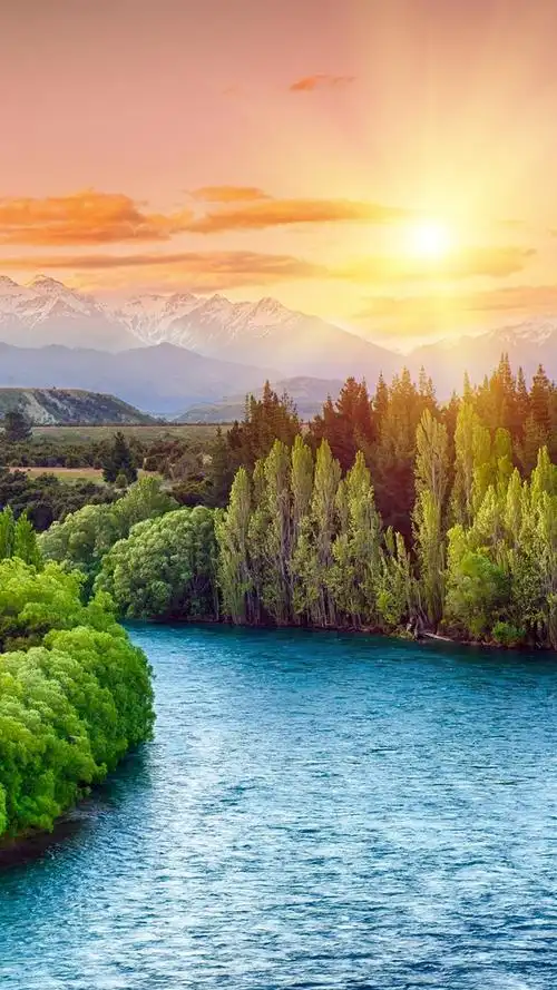 iphone 壁纸 河,树,日落,太阳光线