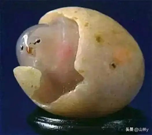 国际金奖绝品奇石,鬼斧神工,浑然天成,令人惊叹!