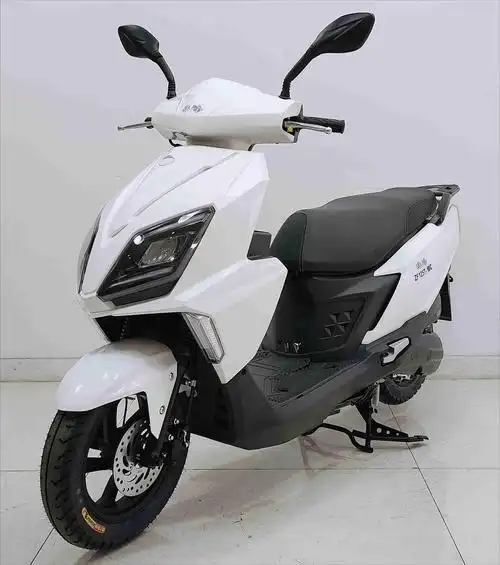 zf125t-10c 珠峰牌125cc汽油前盘式后鼓式两轮摩托车图片