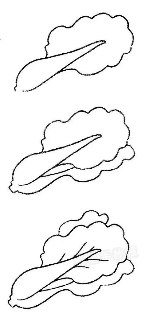 卡通白菜简笔画