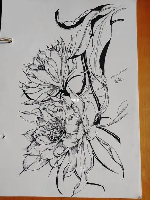 花花#临摹线稿#昙花#画画的日常#加油#画画小白养成记#自学画画