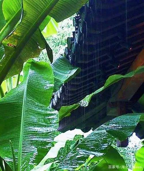 七绝·檐下雨:袅袅炊烟青嶂遥,雨湿黛瓦打芭蕉.祝大家520快乐!