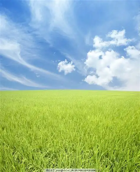 蓝天白云青草地图片_食品饮料_高清素材-图行天下素材网