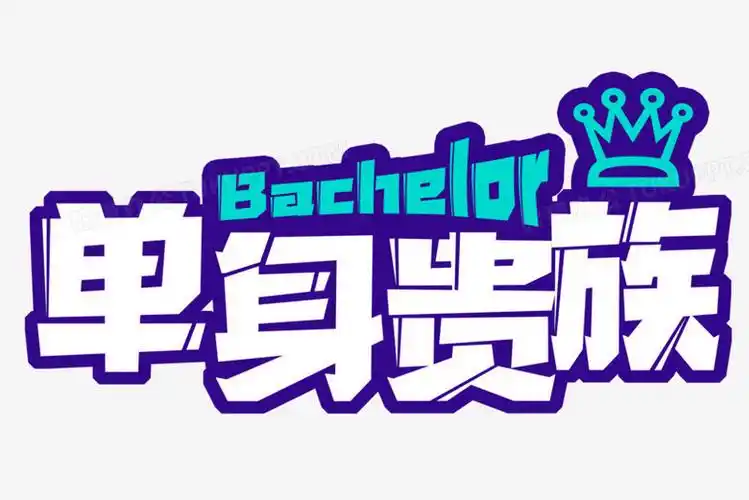 综艺花字单身贵族