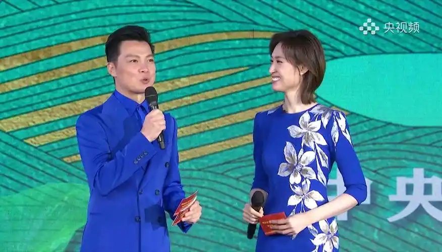 两位央视女主持人,时隔多年在不同场合穿同一件礼服,谁更好看?