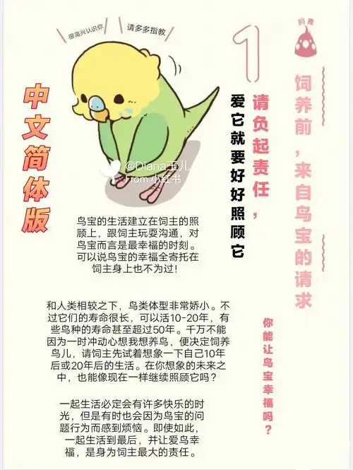 第一次养鹦鹉就恋爱了新手养鹦鹉前准备