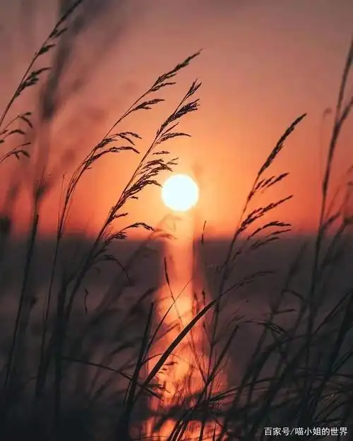 适合睡前发朋友圈说说的心情短句子,句句优质,值得收藏!