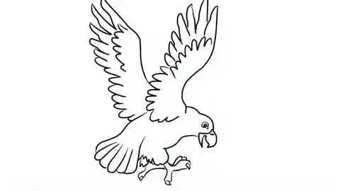 小林简笔画 :  老鹰幼儿亲子简笔画