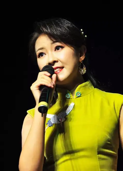 《小城故事》陈佳2019个人巡回演唱会火热开唱