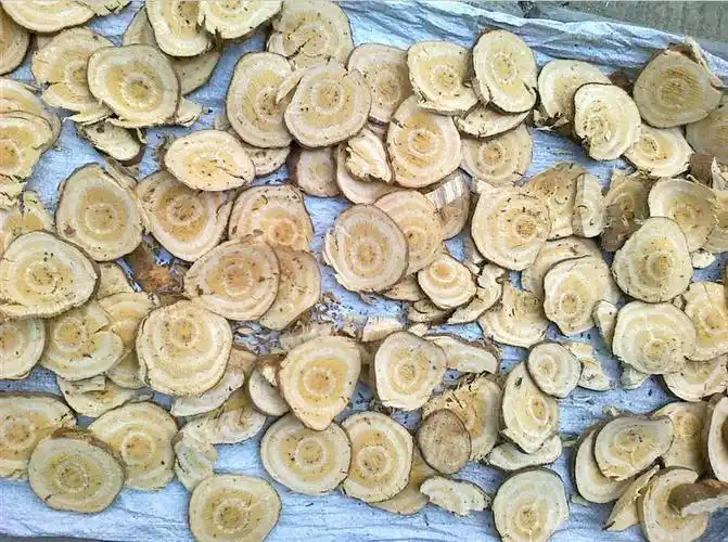 野生中药材吹风藤岗梅根土甘草牛奶藤秤杆根干品片