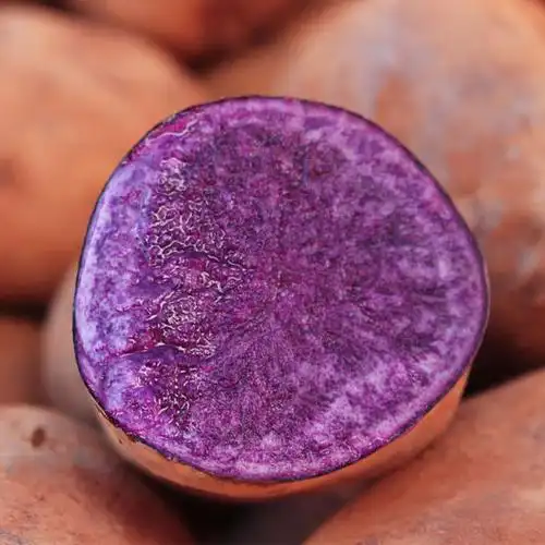 紫土豆的功效与作用及营养价值,紫土豆