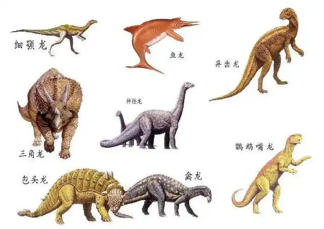 假如这张图没有标志恐龙的名字,你能认识几只?